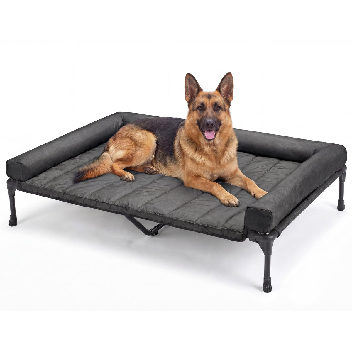 Veehoo dog bed 53x37 frame shows a sturdy raised design for comfort