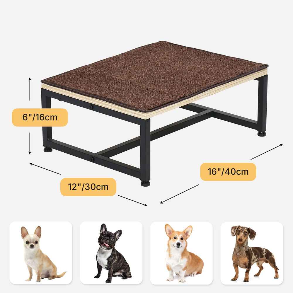Small dog using Veehoo steps highlighting user-friendly height and stability.