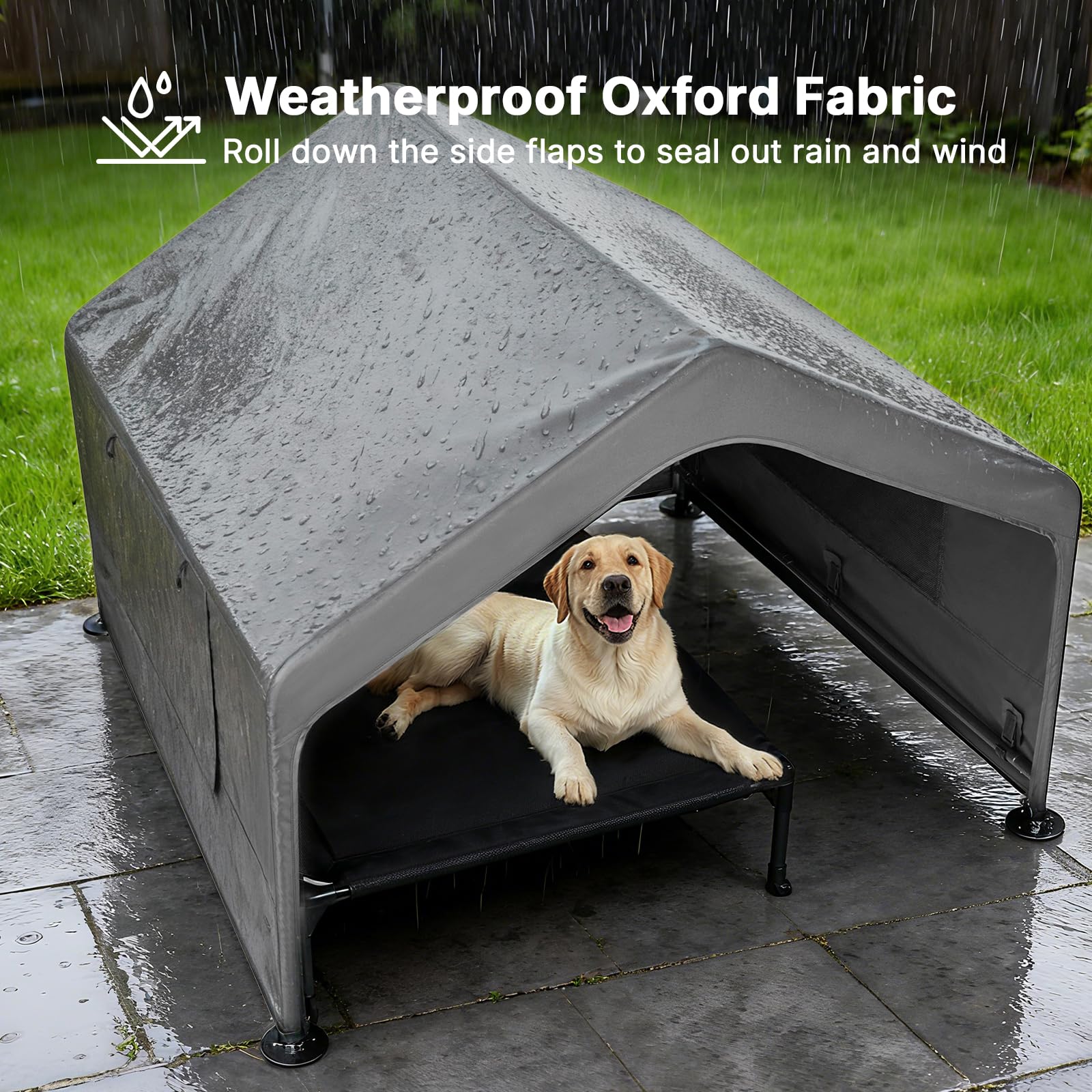 Veehoo weatherproof dog shelter showing elevated bed and spacious interior.