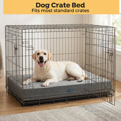 Veehoo bed with hidden zipper design protects fabric from chewers.