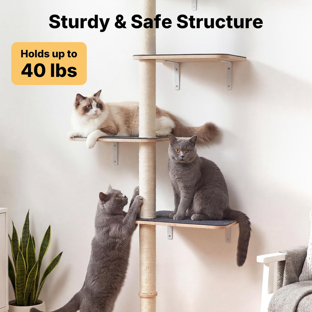 Non-slip cozy perch from Veehoo designed for large cats
