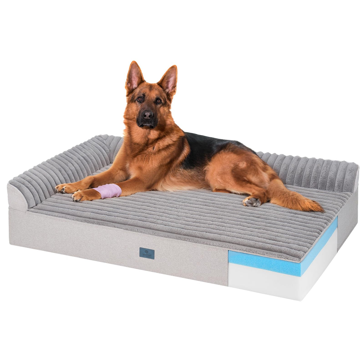 Veehoo orthopedic dog bed full view showing generous space for large dogs