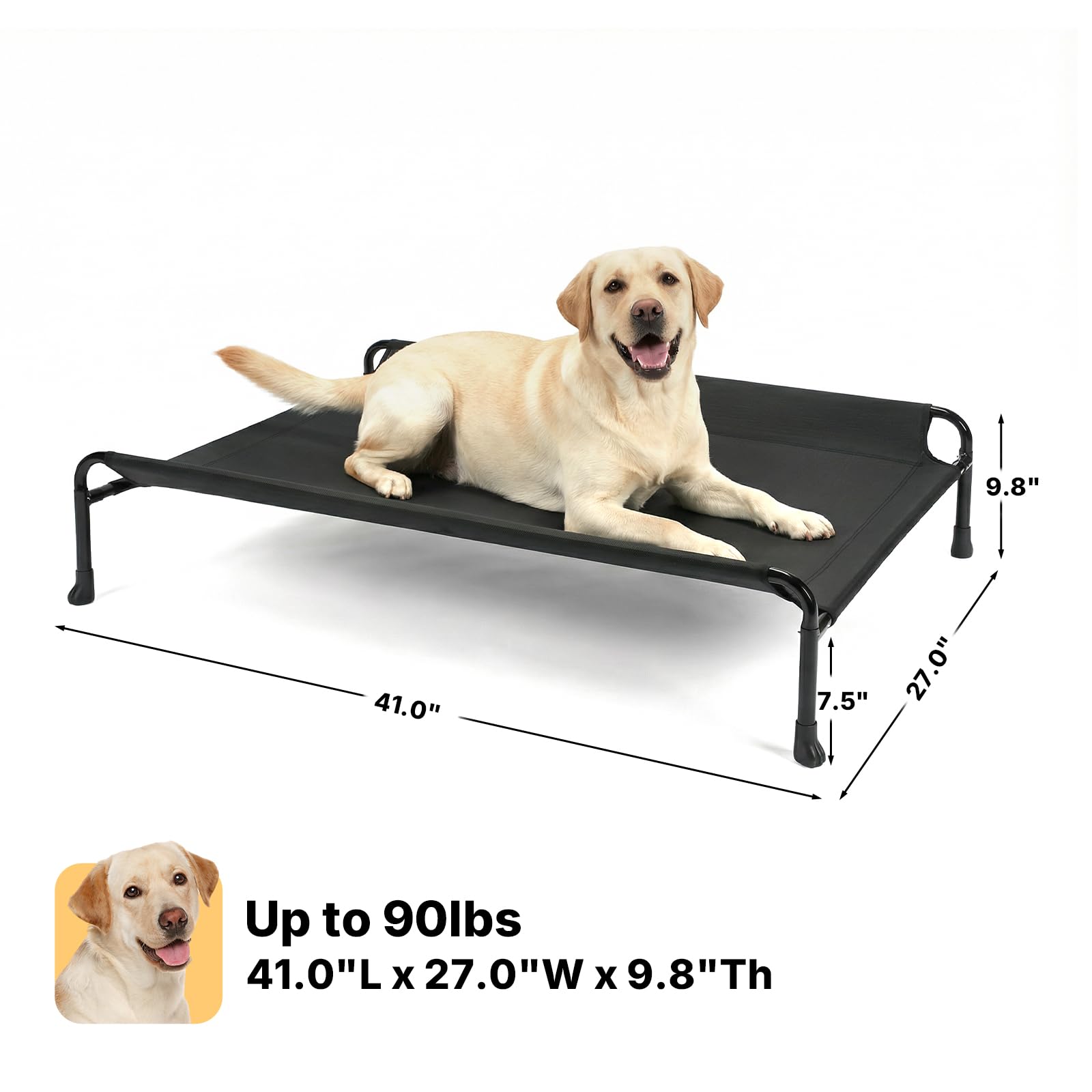Large 41-inch frame accommodates dogs up to 100 pounds.