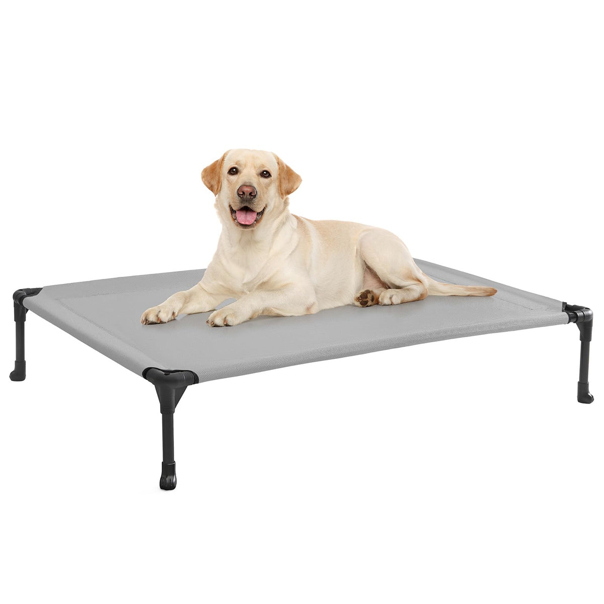 Veehoo outdoor elevated dog bed frame assembly for quick setup indoors or outdoors