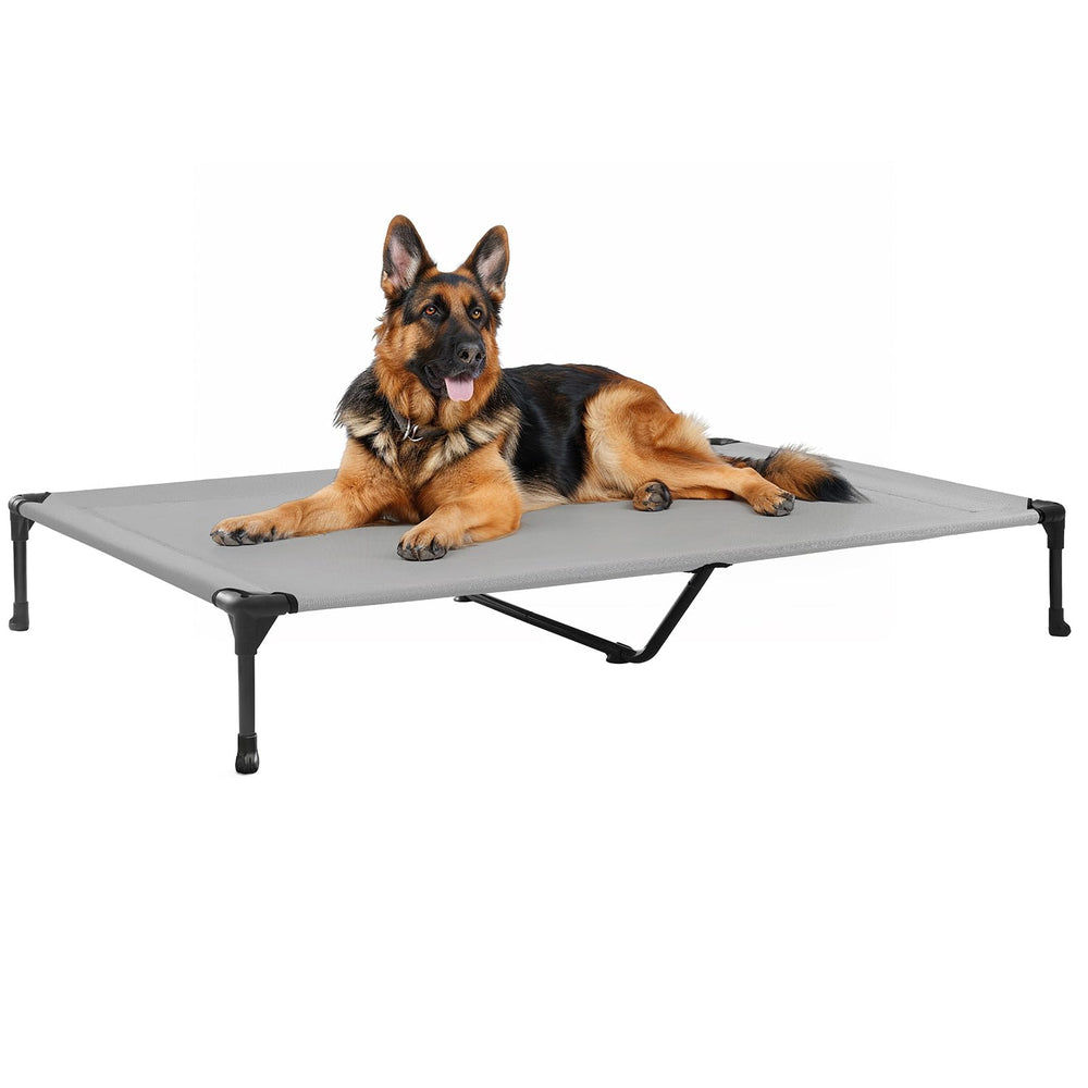 Veehoo outdoor elevated dog bed large assembly demonstrates quick setup for travel