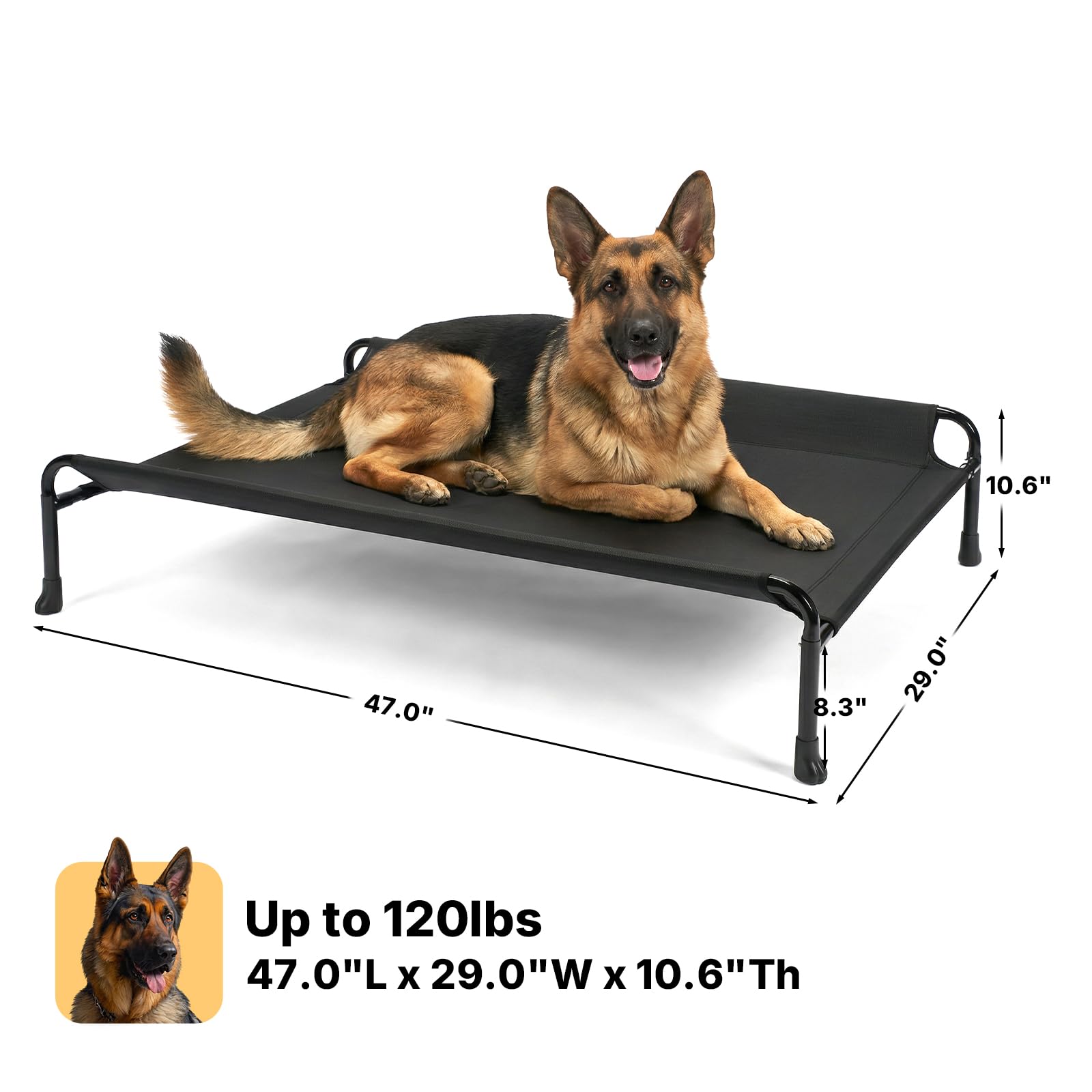Veehoo portable bed suits indoor lounging or camping adventures.