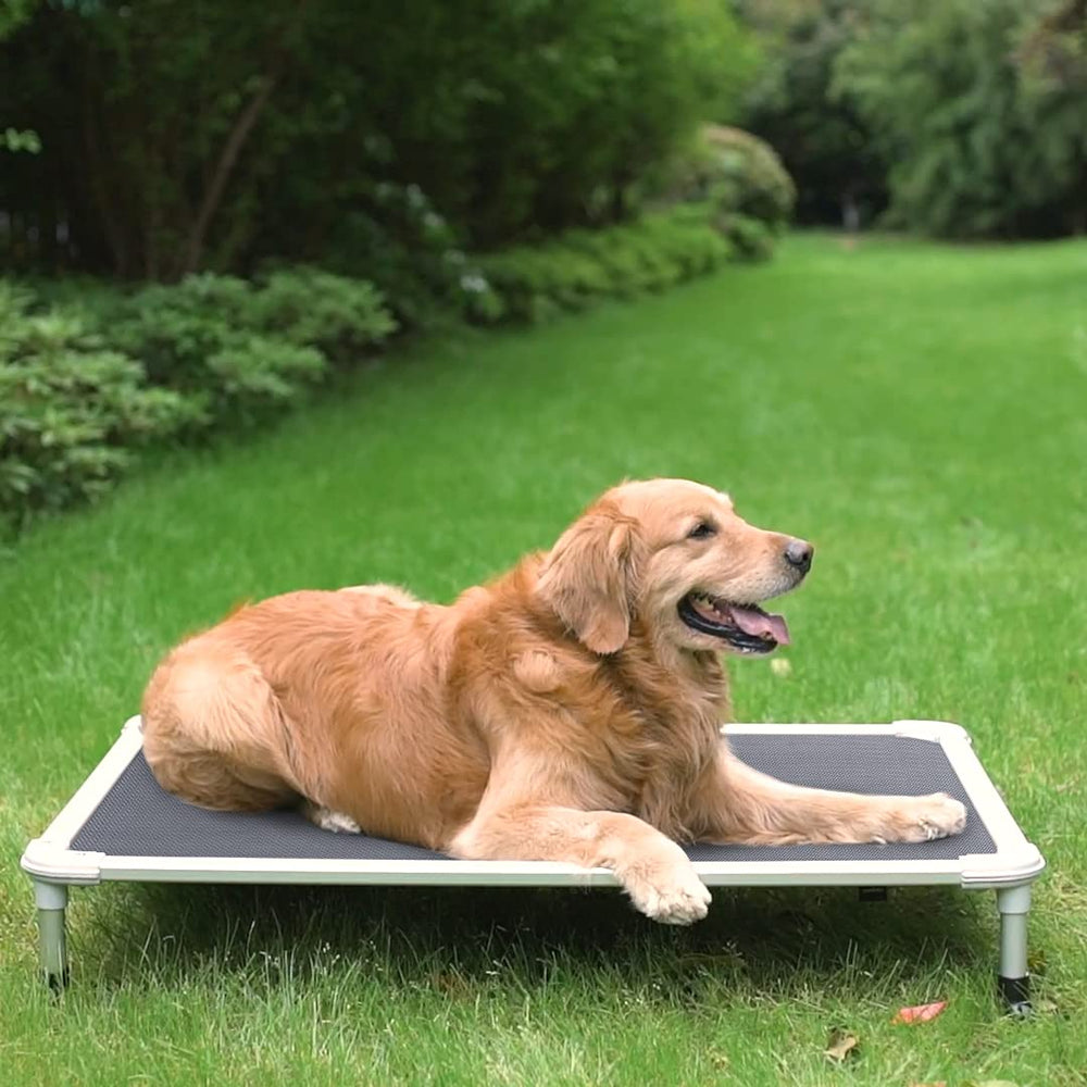Veehoo portable design is perfect for camping, travel, and easy setup.