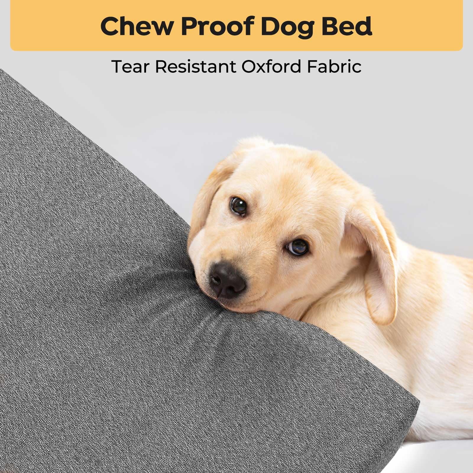 Pup resting on Veehoo bed highlights durable chew-proof comfort.