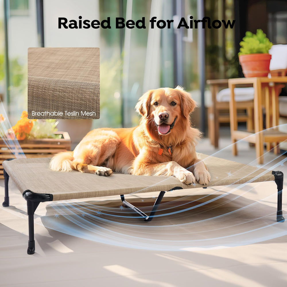 Veehoo raised bed dimensions 49x33 inches fit large breeds comfortably.