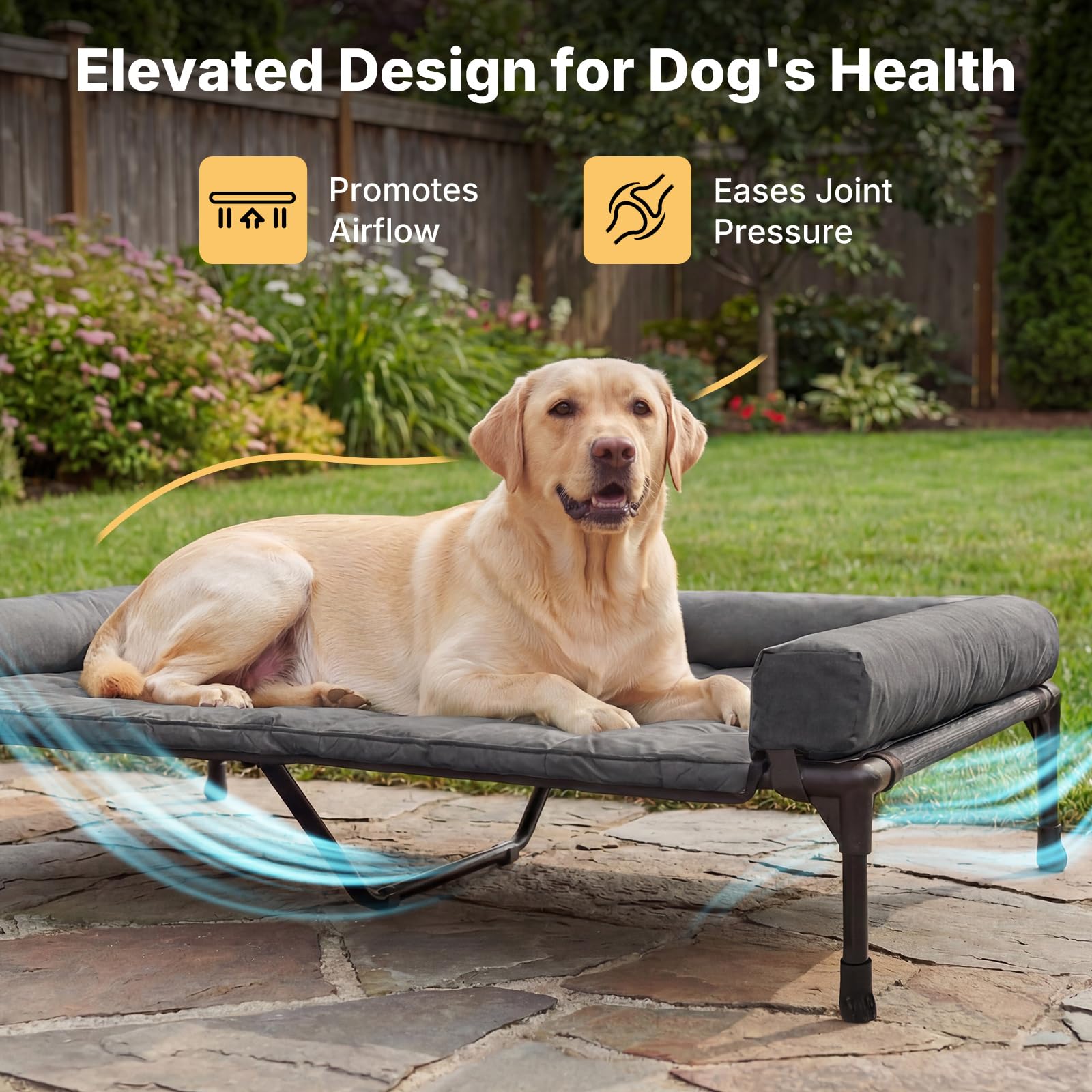 Veehoo reinforced powder-coated frame; durable support for large breeds.