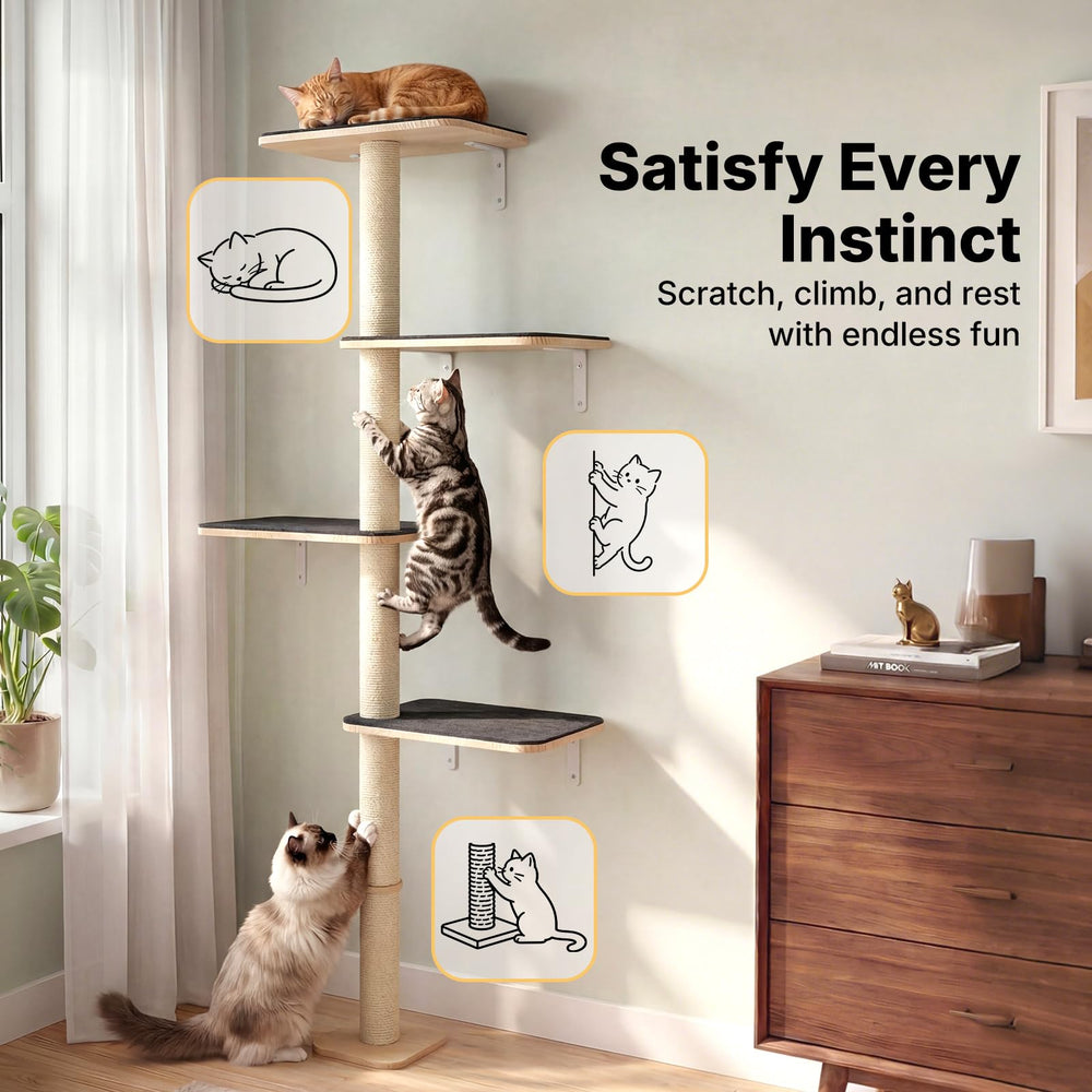 Scratch, climb, and lounge on the vertical play structure by Veehoo