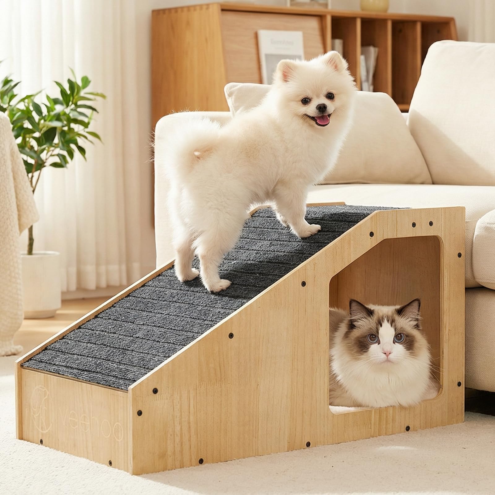 Veehoo compact ramp stored neatly in living space for quick access.