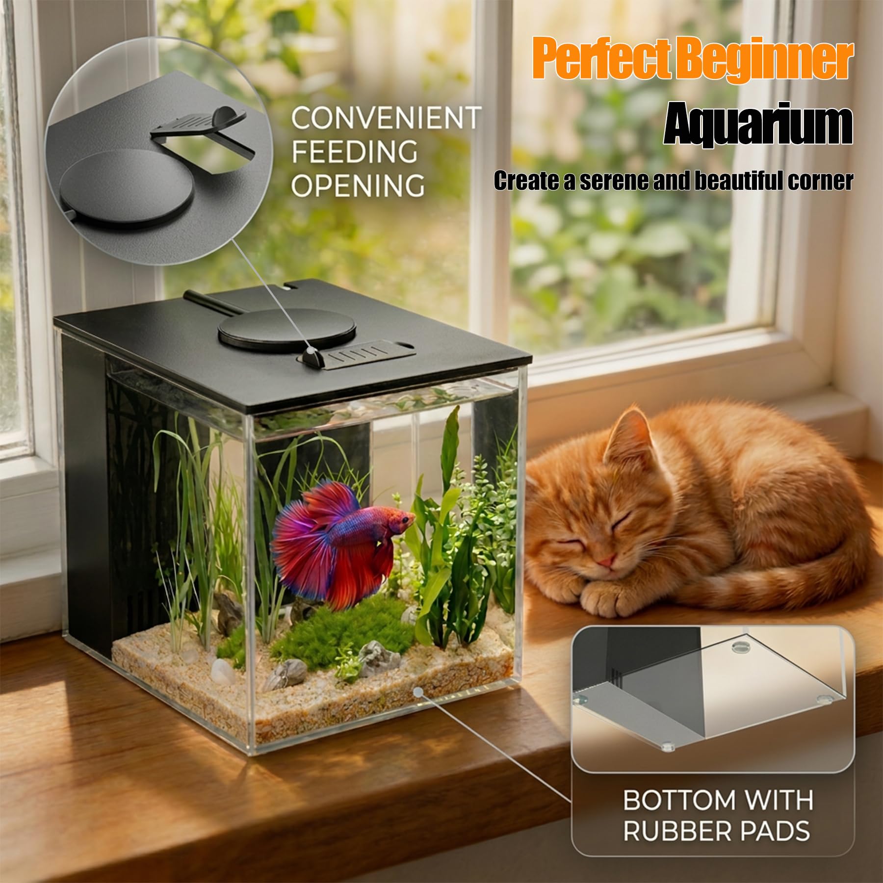Vehipa Betta Tank 1Gal LED-lit display with adjustable ambiance for day and night viewing