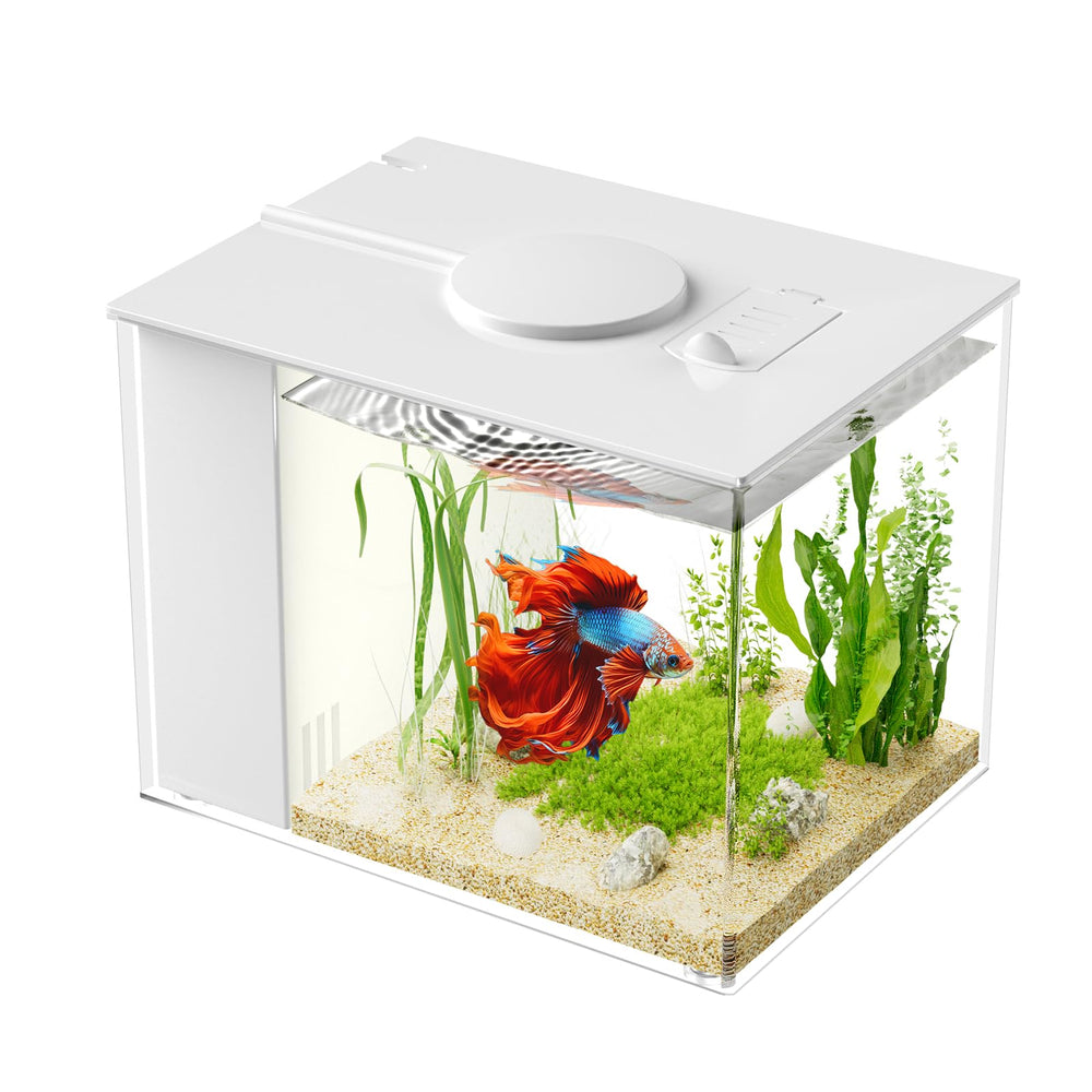 Vehipa Betta Tank front view showing compact desk-friendly design ideal for small spaces.