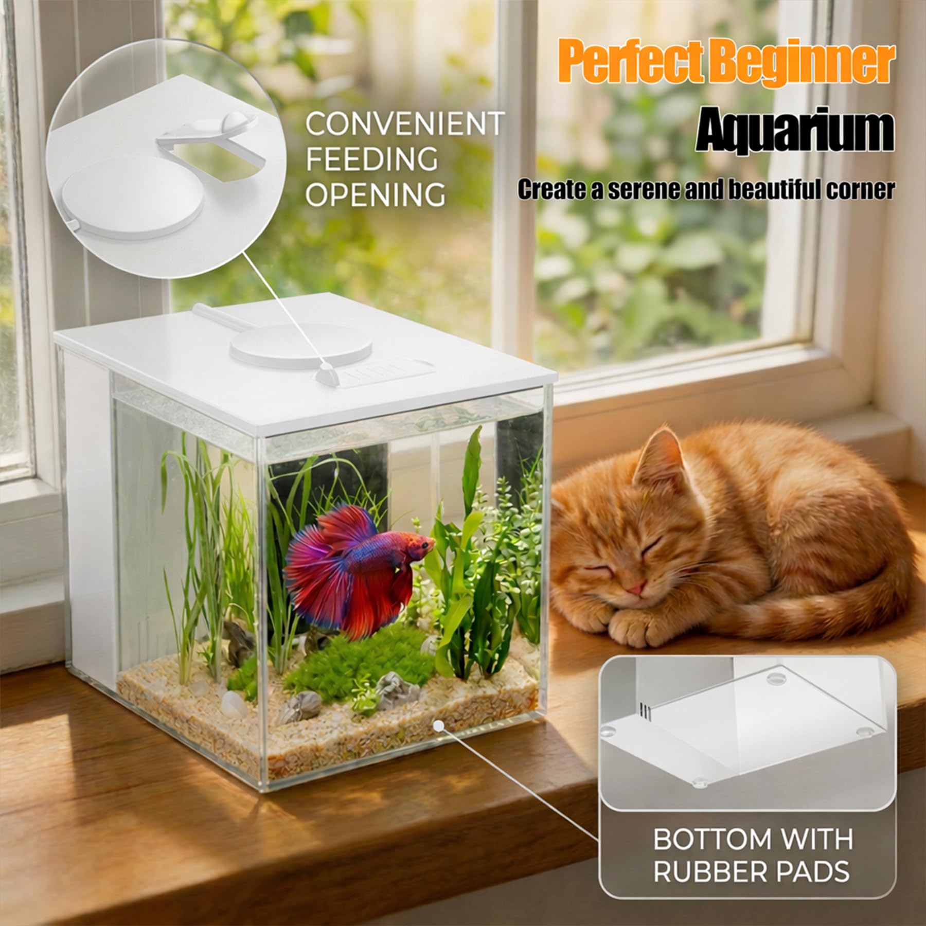 Vehipa Betta Tank top feeding opening for easy daily meals.