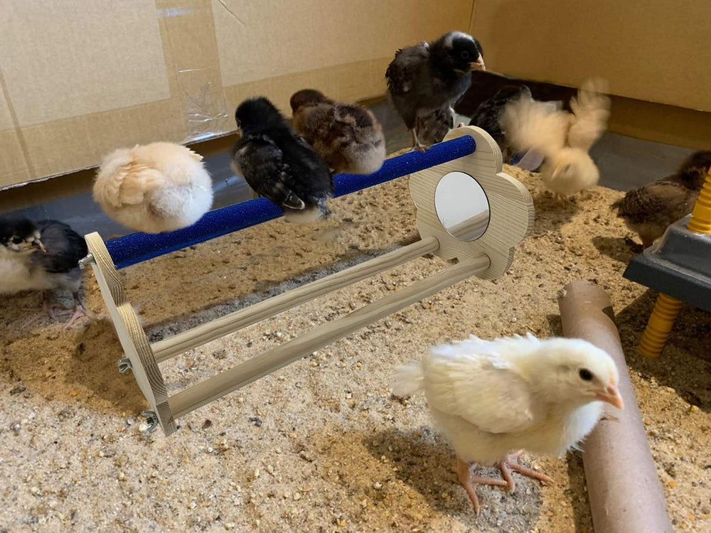 Vehomy flower mirror plates add visual engagement during chick viewing.