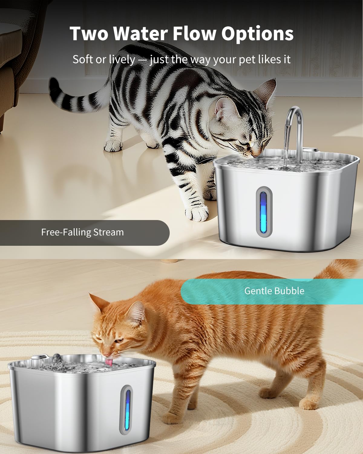 Vekonn dishwasher-safe design allows quick cleaning after meals