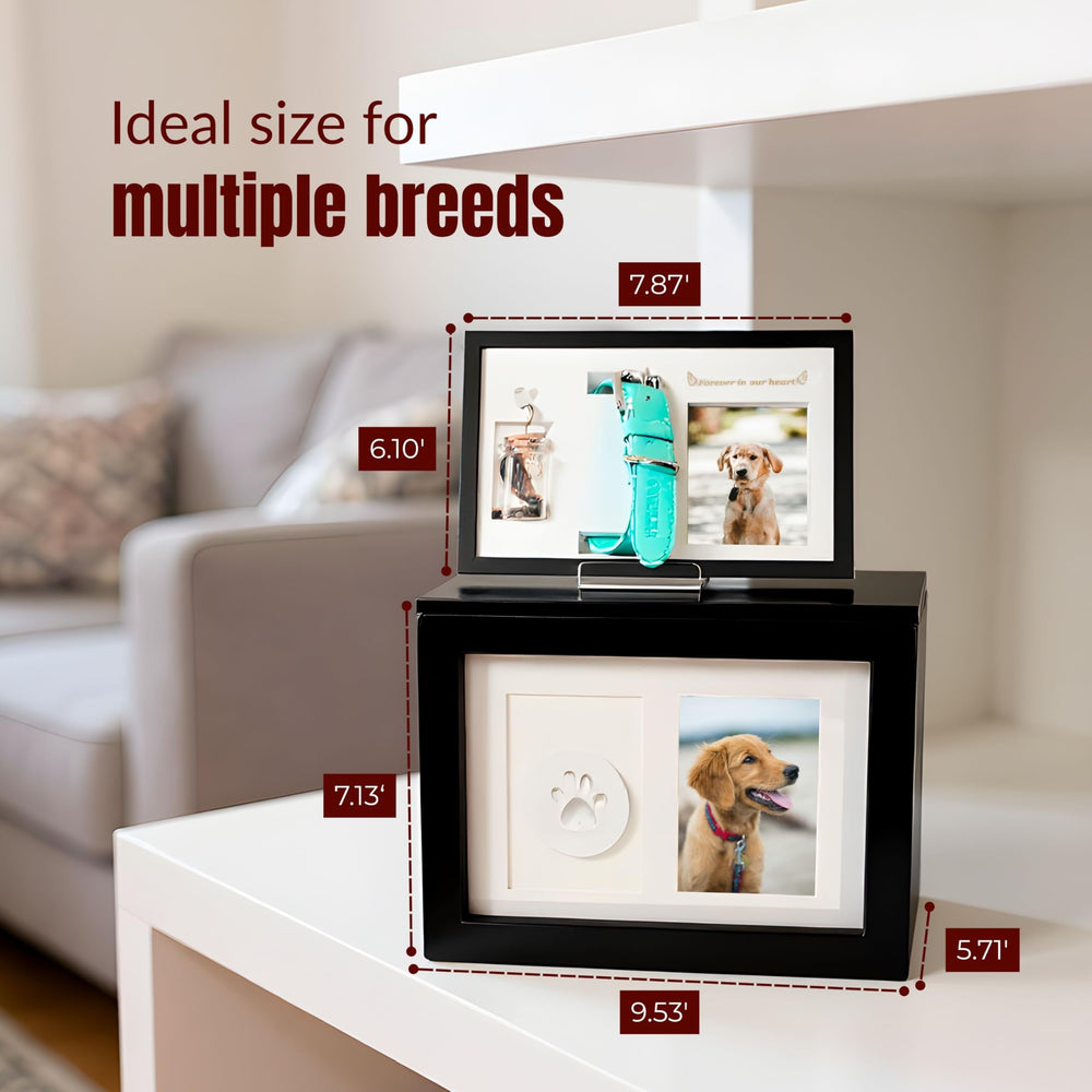 VELABER collar holder slot keeps memories together