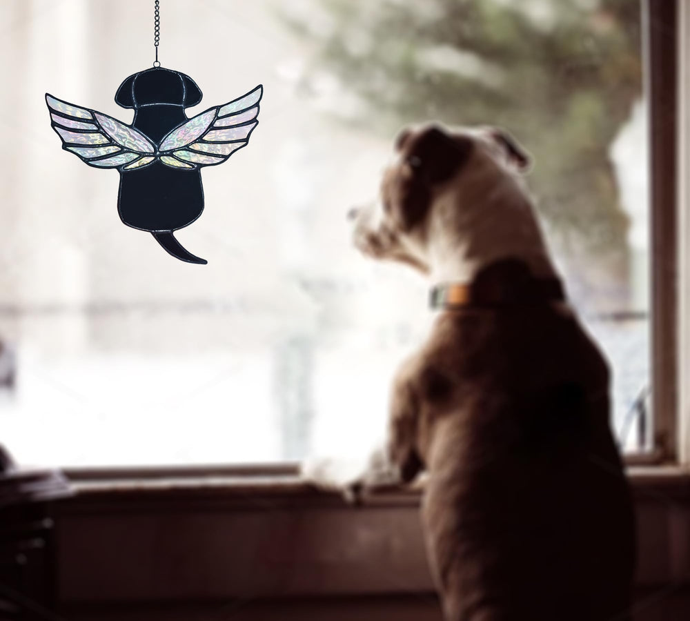Velasyart suction cup and chain enable easy window, wall, or patio display.
