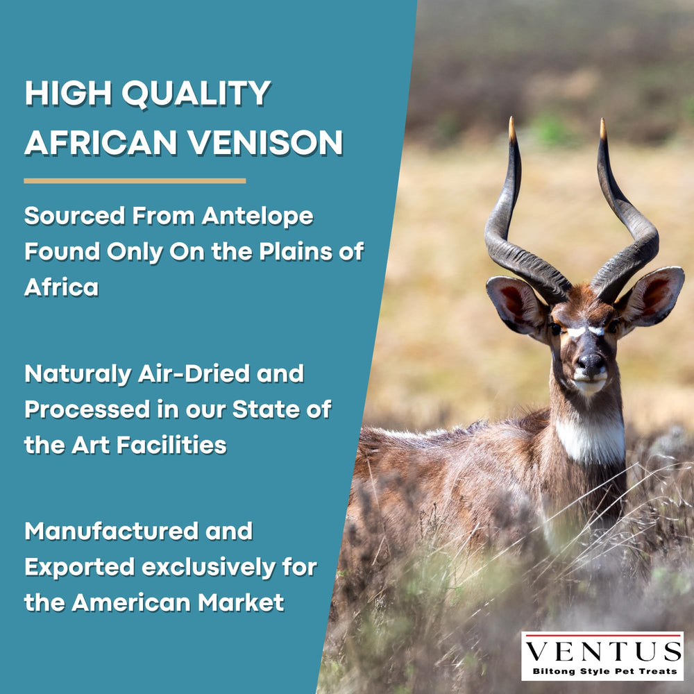 VENTUS Sustainably Sourced Venison Treats made from free-roaming game