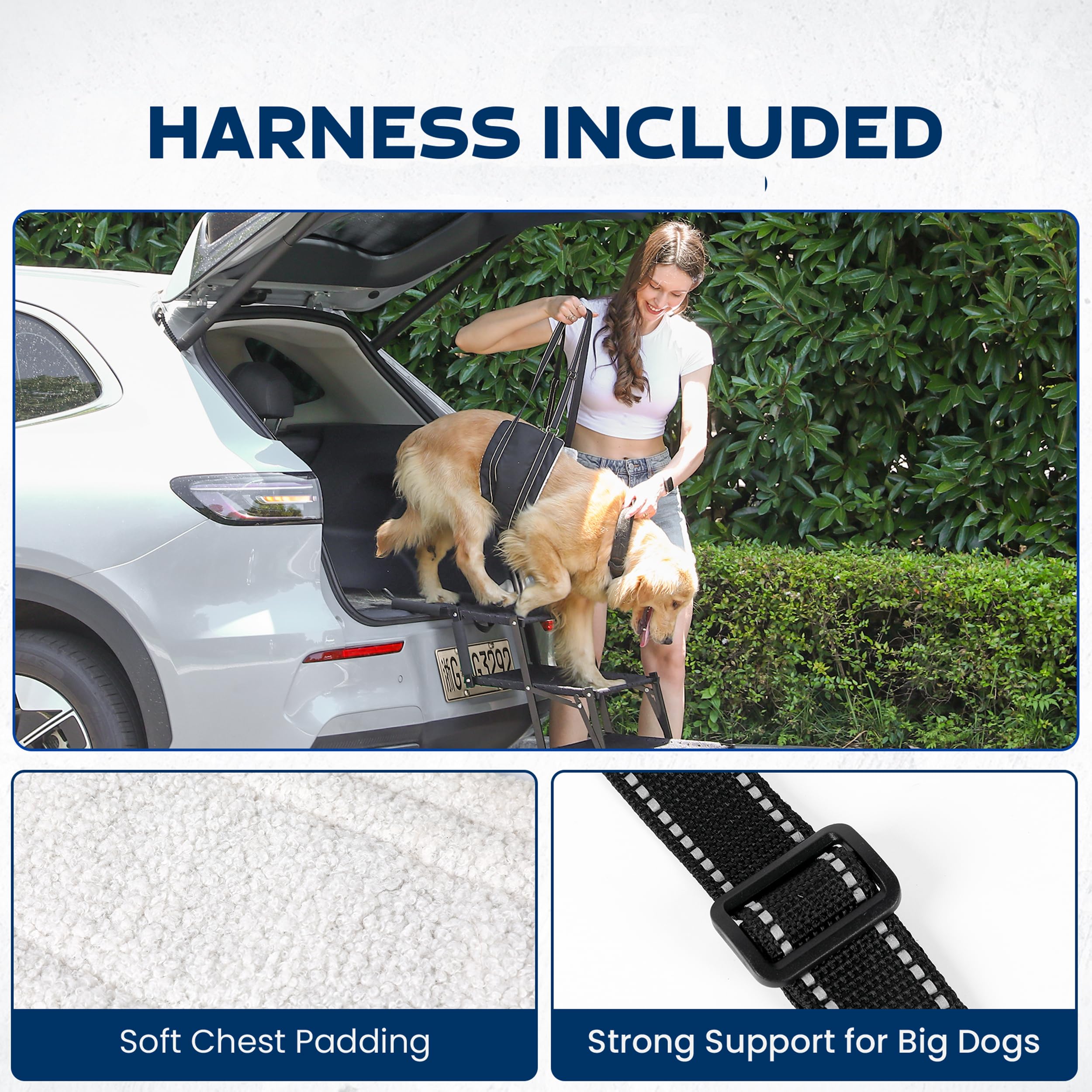 VERALUX 200lb Capacity Dog Stairs support large breeds safely.