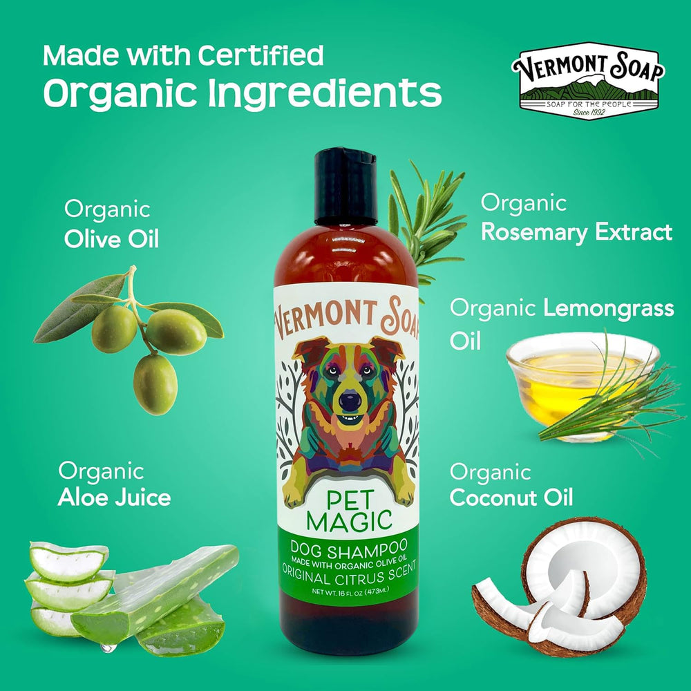 Close-up on ingredients label highlighting organic olive oil and aloe vera.