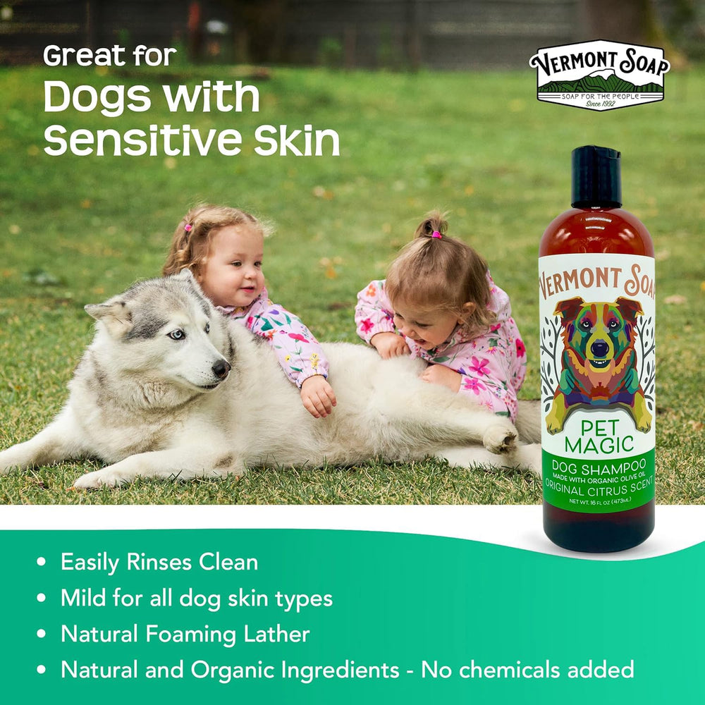 Creamy lather foams up, infusing scent through dog's coat.