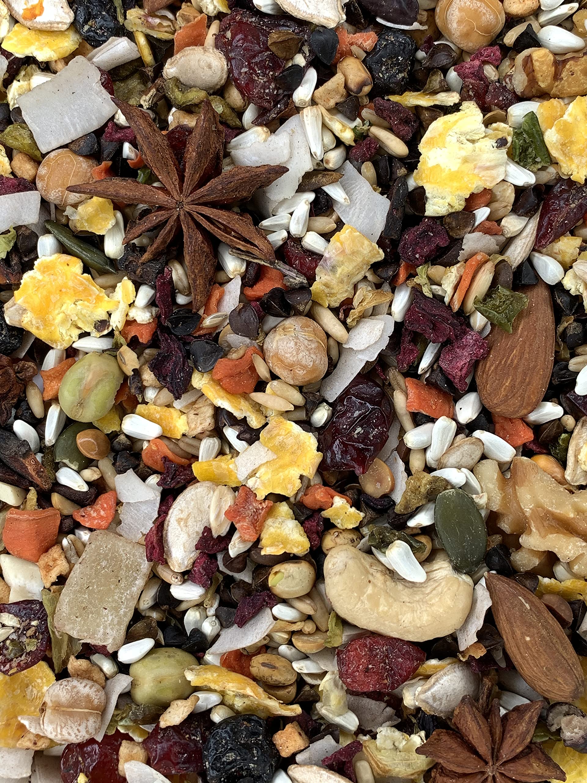 Versele-Laga Goldenfeast Central American Blend serving dish, supports foraging and dietary variety.