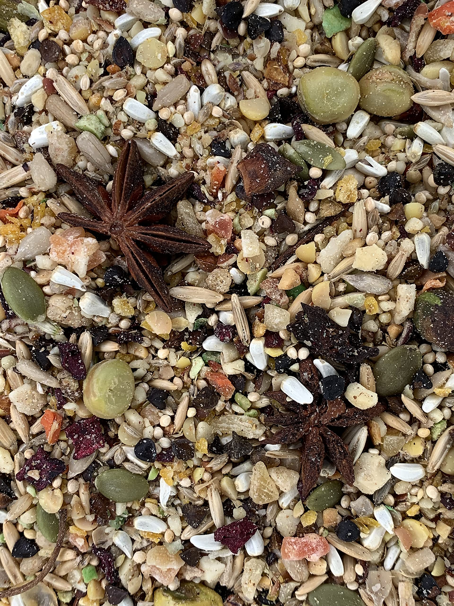Versele-Laga Goldenfeast South American Blend ingredients close-up highlighting variety for birds.