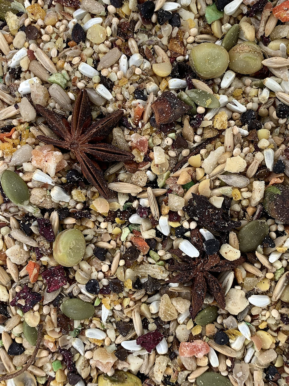 Versele-Laga Goldenfeast South American Blend ingredients close-up highlighting variety for birds.