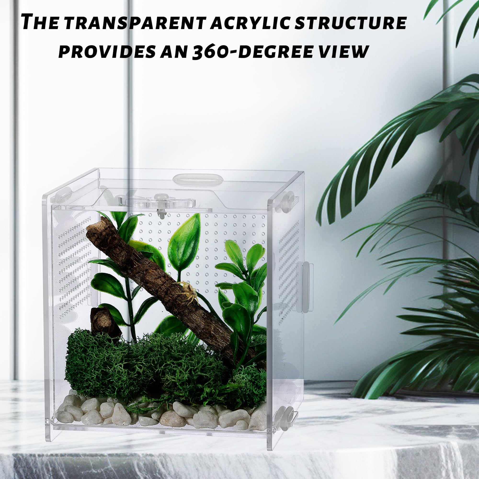 VERTUPET complete accessories included for quick setup