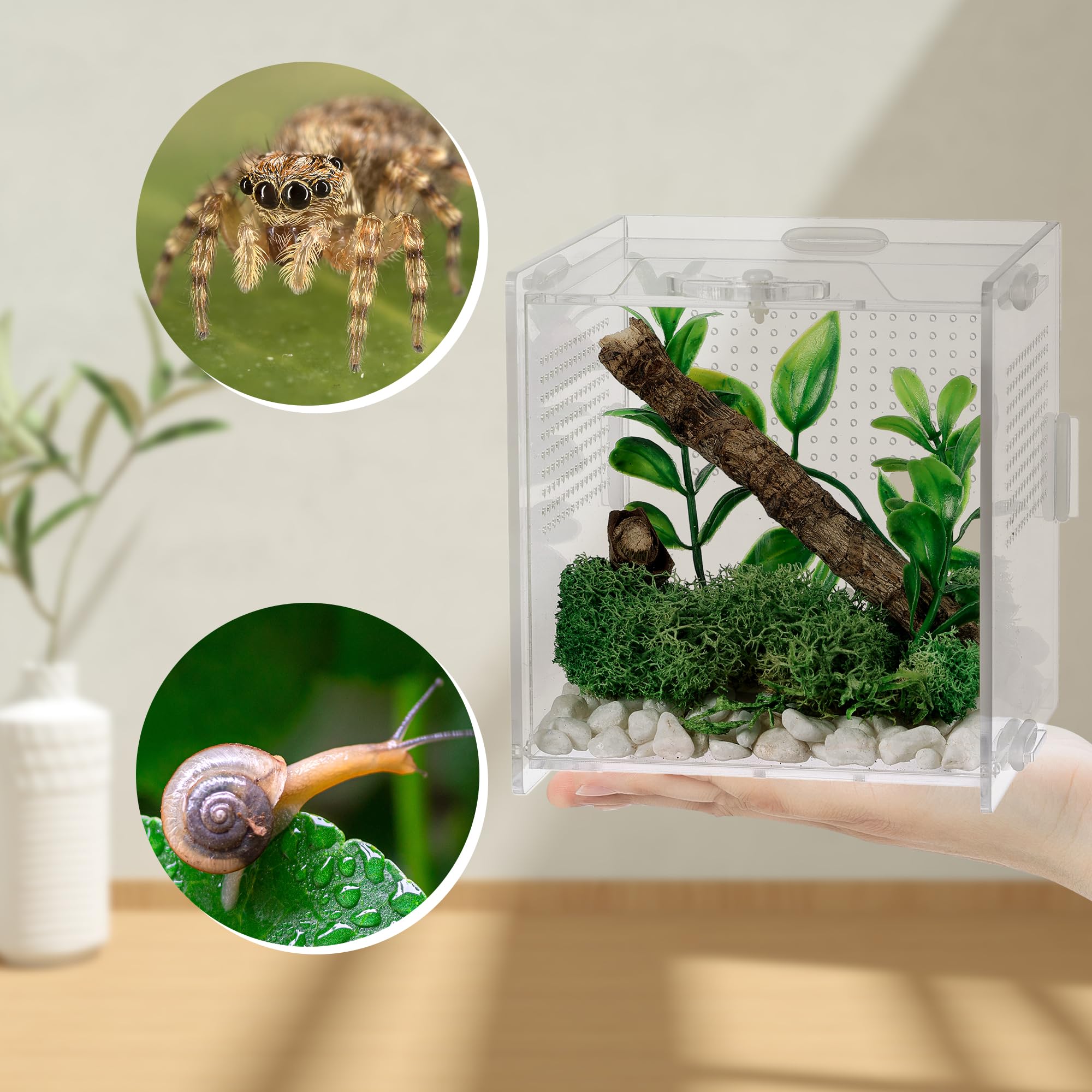 VERTUPET lightweight portable design for transport