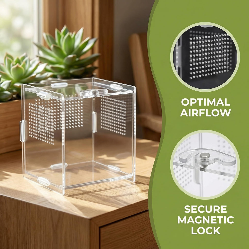 VERTUPET protective film removed for crystal-clear view