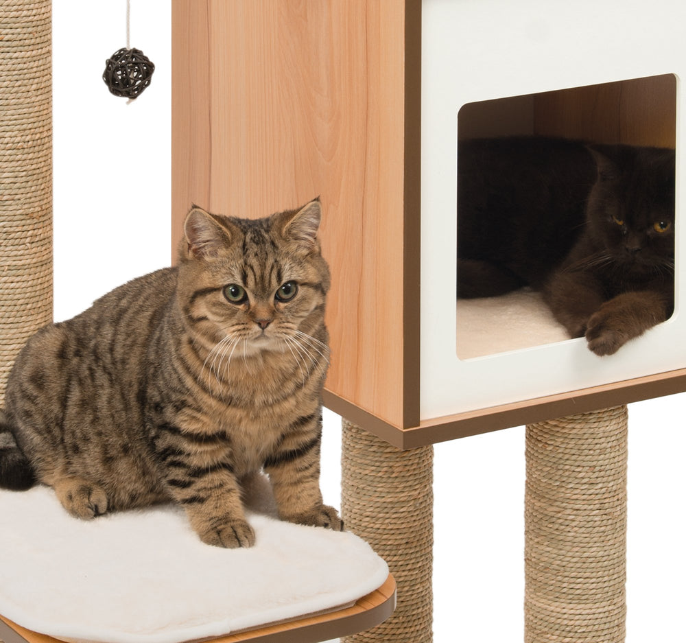 VESPER tower perches Walnut offer elevated play and rest zones.