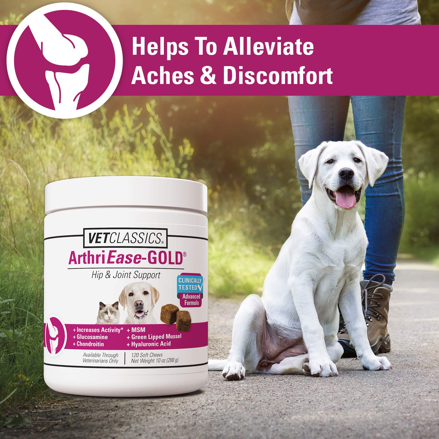 ArthriEASE-GOLD ingredients like glucosamine support cartilage health.