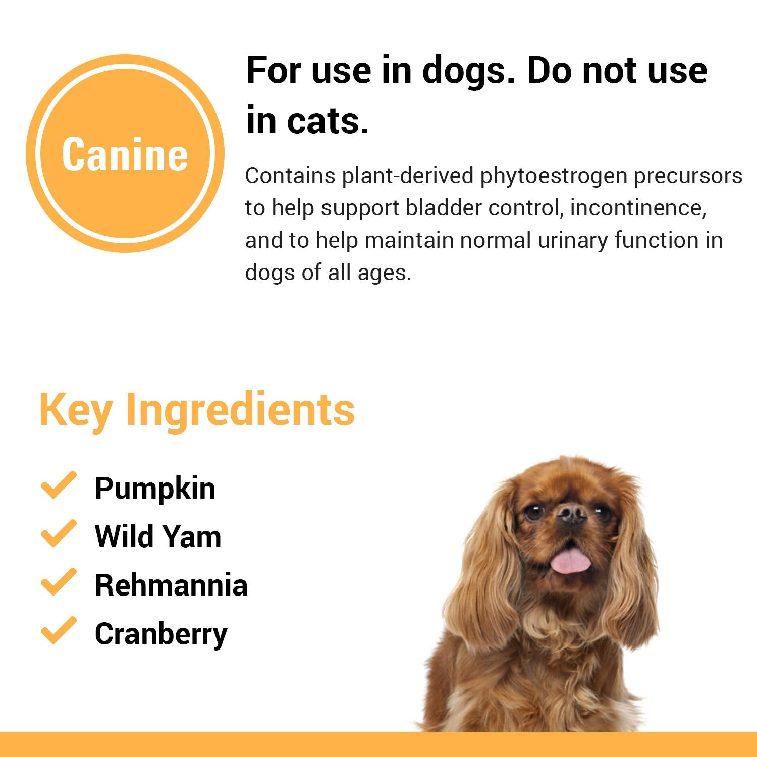 Vet Classics Bladder Support dog chewing a daily treat
