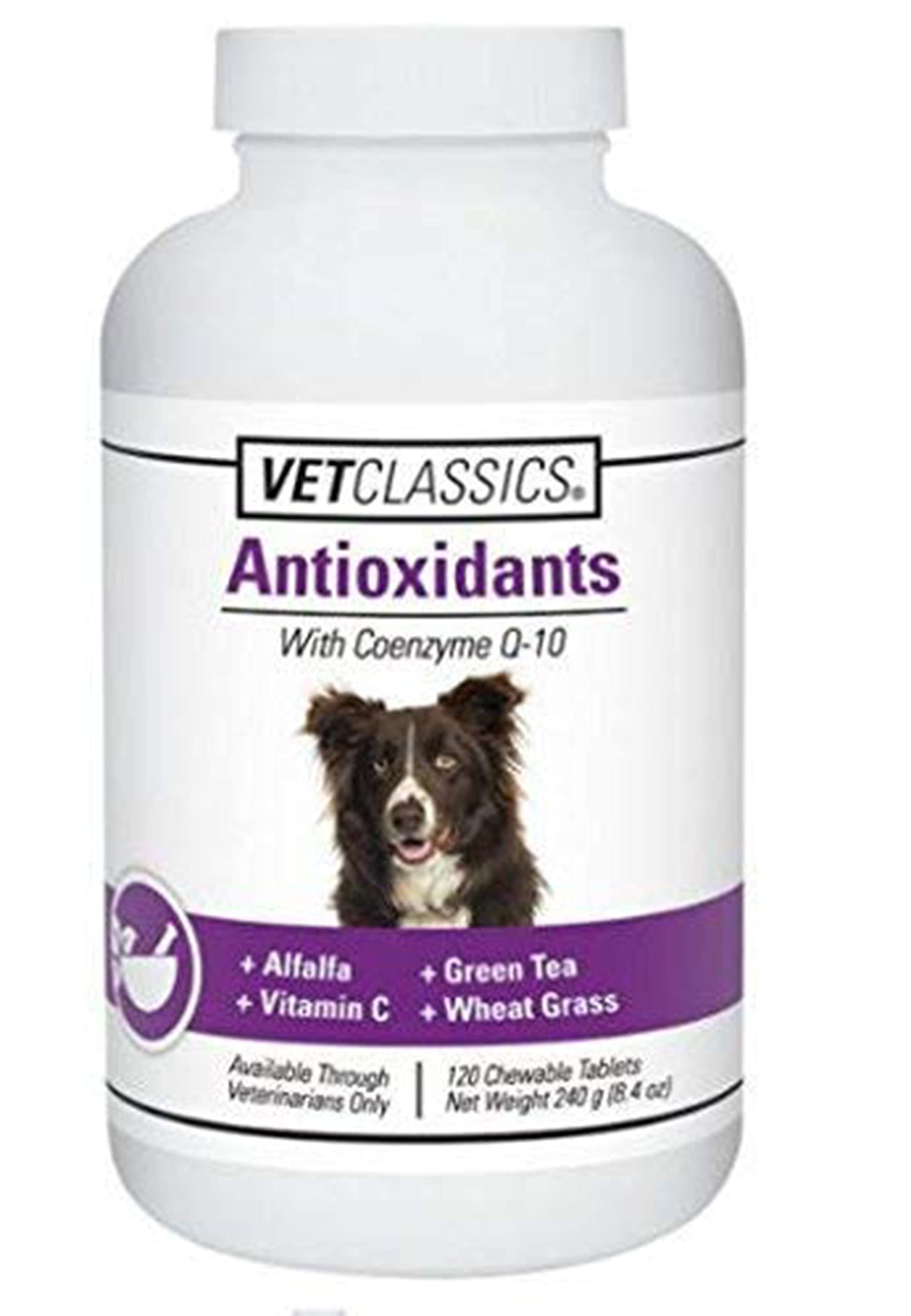 Vet Classics Coenzyme Q-10 dog supplement bottle for daily antioxidant support.
