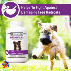 Green tea in Vet Classics formula signals natural antioxidant support.