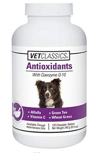 Vitamin C and wheat grass in Vet Classics Q-10 blend.