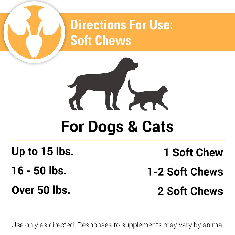 Pet owner offering Vet Classics Cranberry Comfort soft chews for daily use.