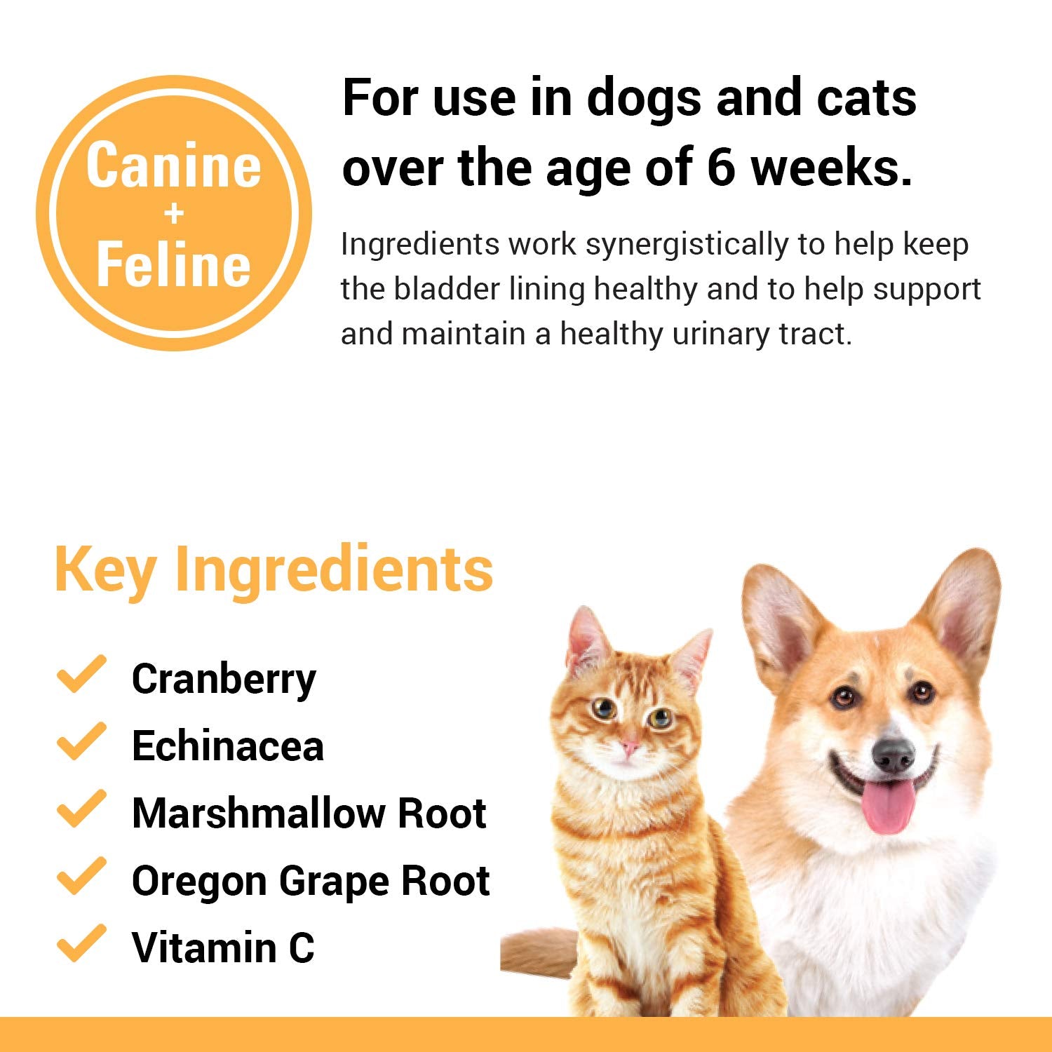Vet Classics Cranberry Comfort for dogs and cats supports bladder health and incontinence management