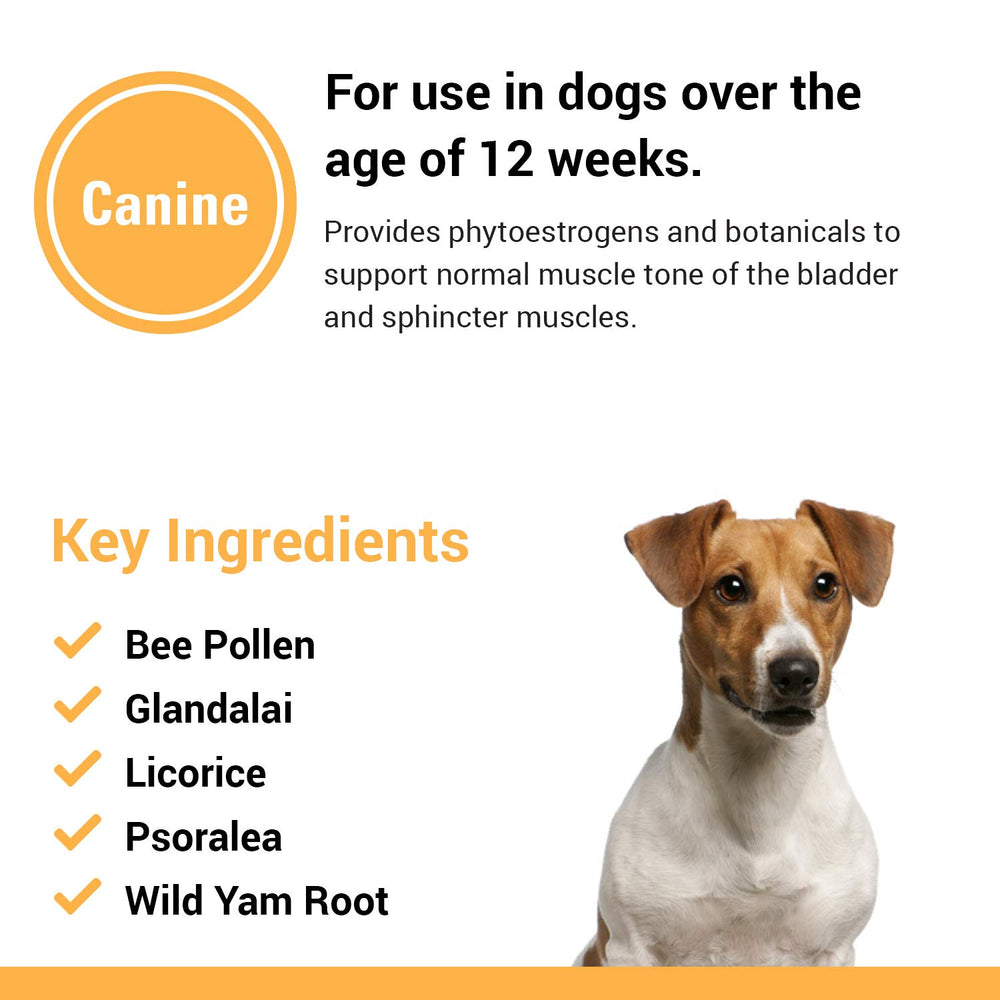 Vet Classics dog urinary health tablets closeup suggests easy daily dosing for female dogs.