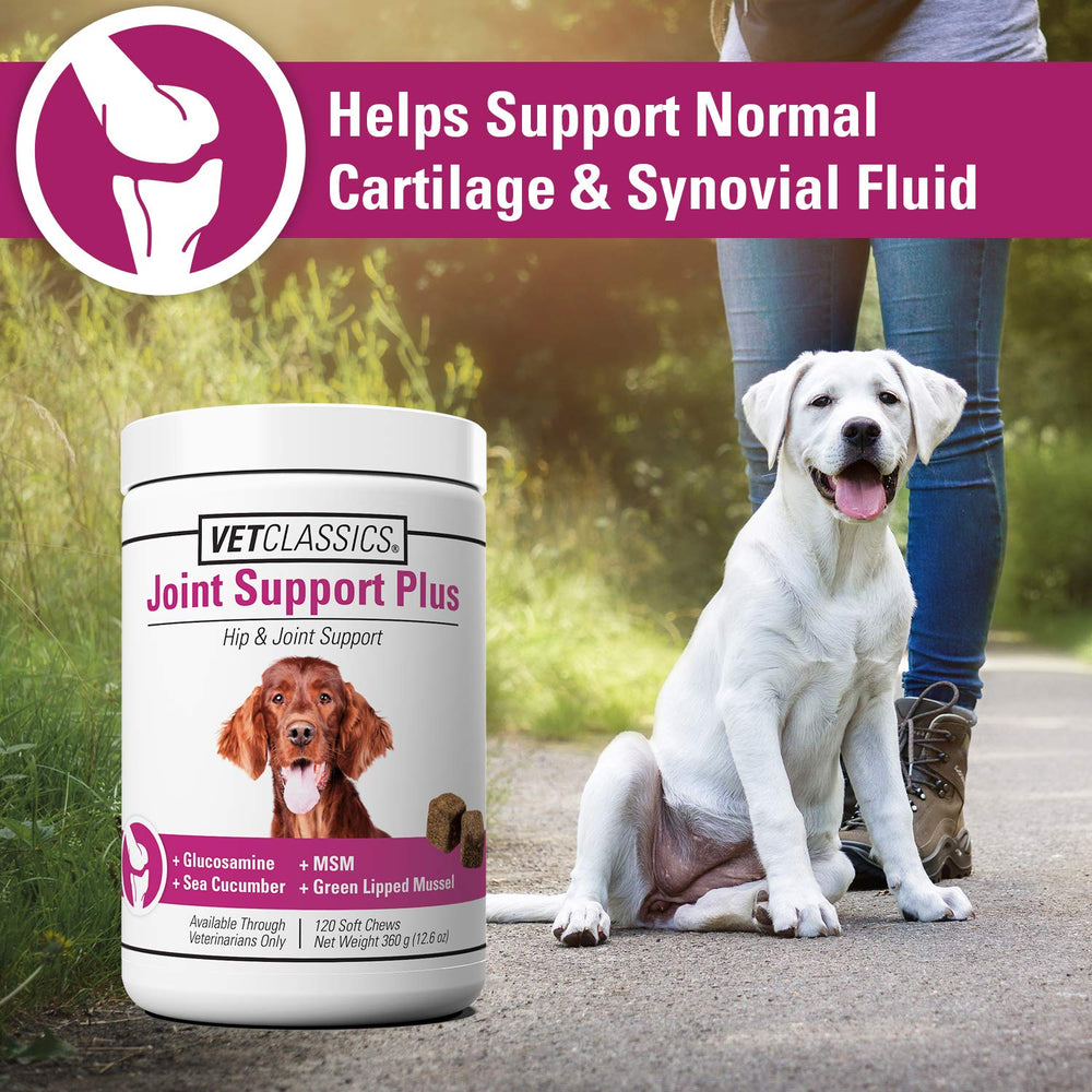 Vet Classics Joint Support Plus ingredients-glucosamine close-up highlights key components