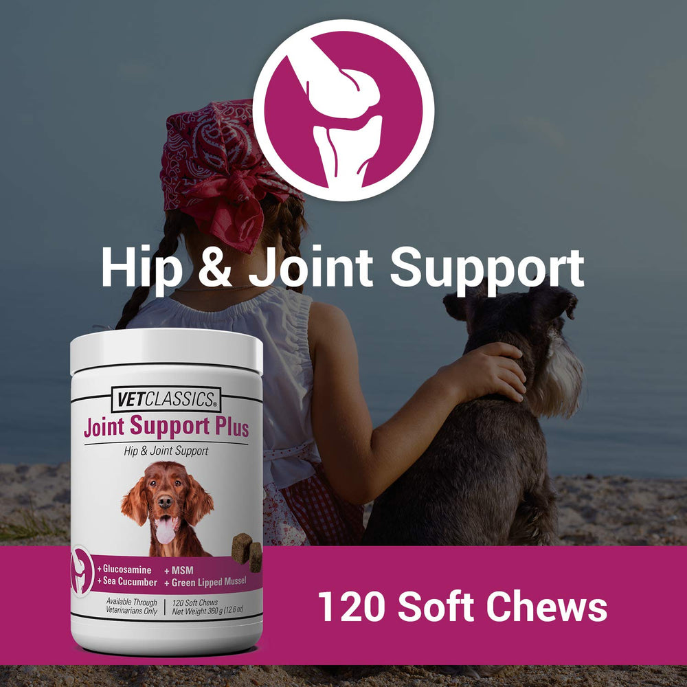 Vet Classics Joint Support Plus soft-chews ready for daily use