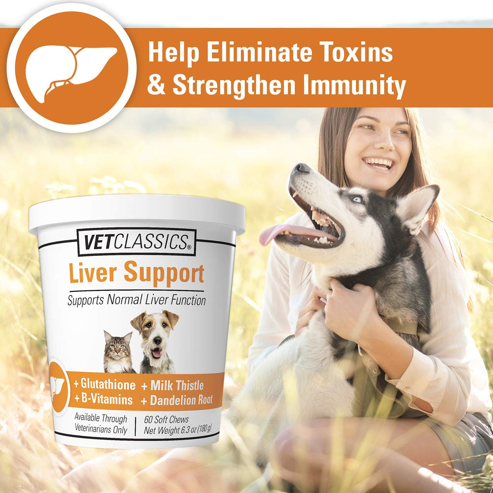 Vet Classics Liver Support chew tablets pack demonstrates packaging for simple daily dosing.