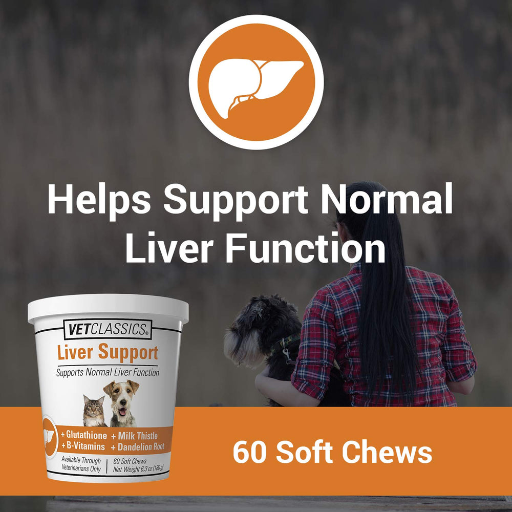 Vet Classics Liver Support soft chews closeup showing palatable texture and ease of giving.