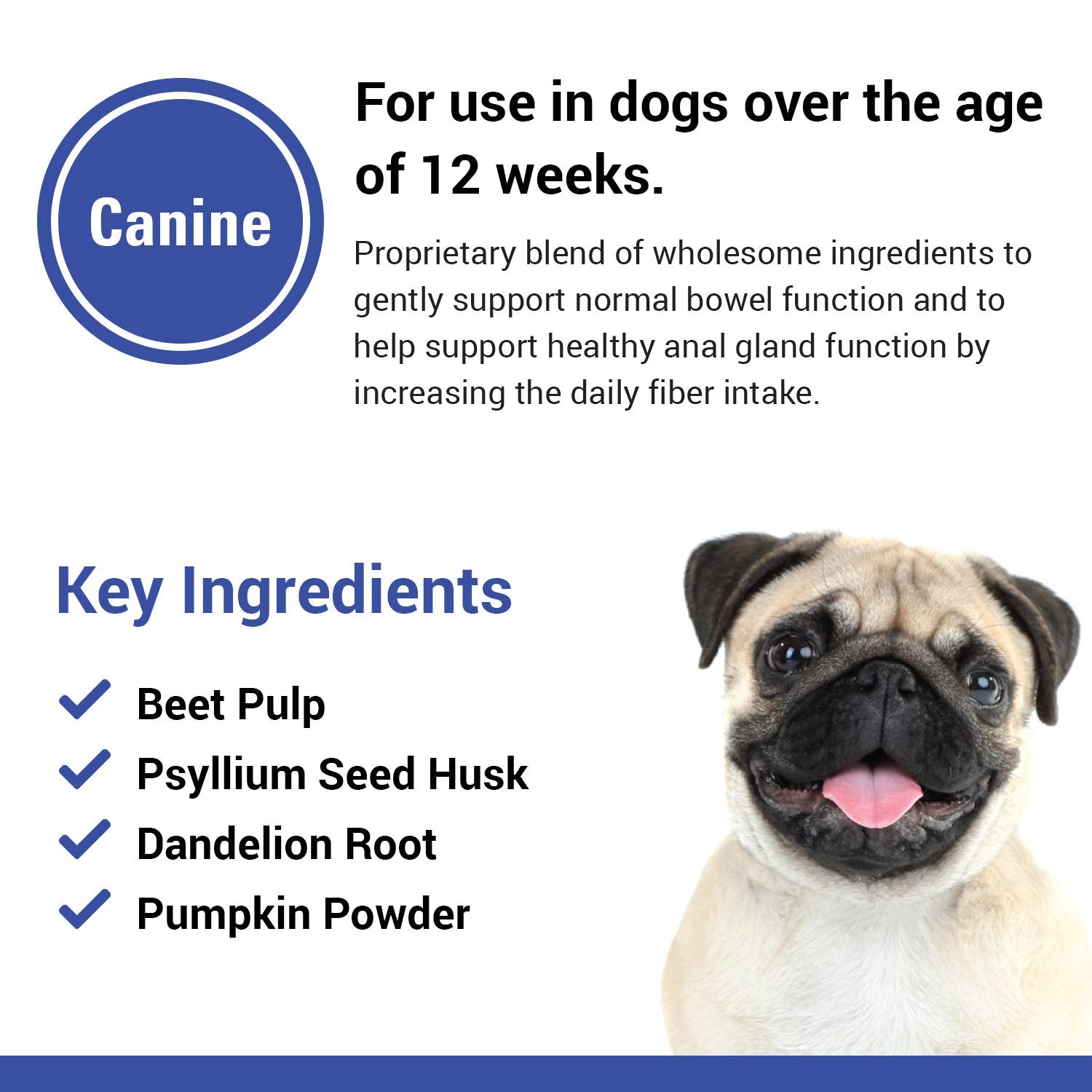 Vet Classics No Scoot packaging beside a dog bowl for daily supplementation