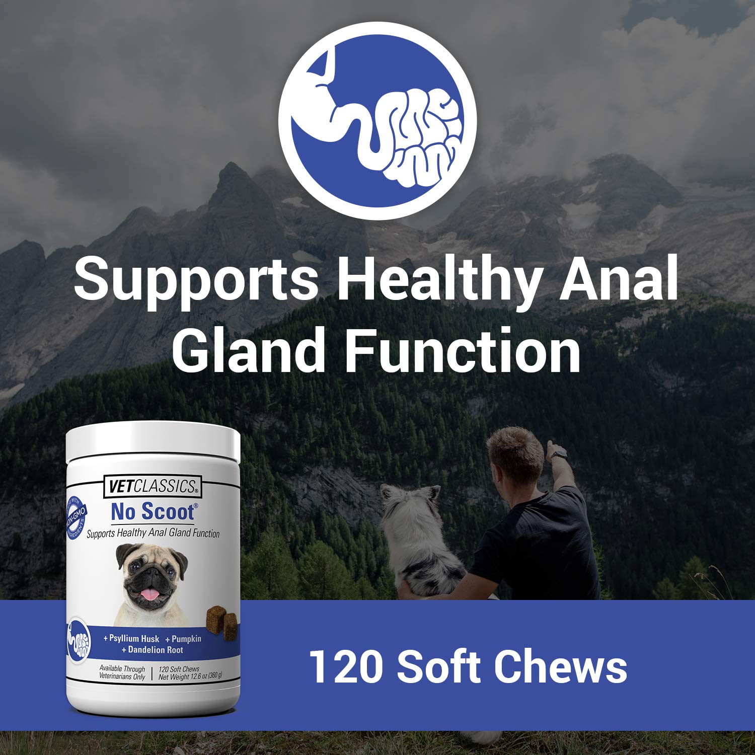 Vet Classics No Scoot soft chews close-up highlighting palatable texture