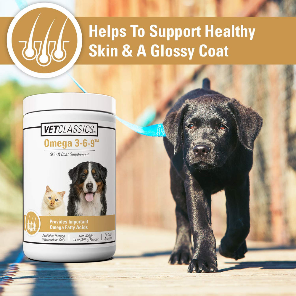Vet Classics Omega 3-6-9 cat skin health fits daily routine.