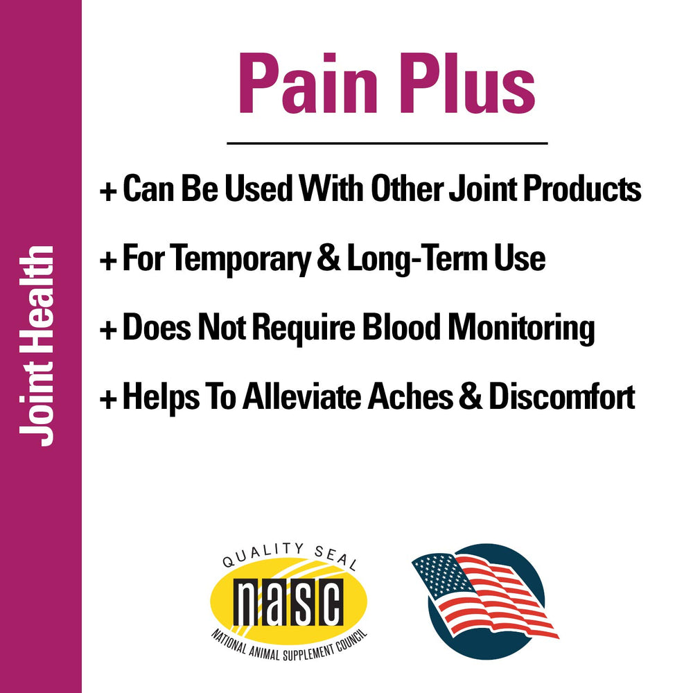 Dog active lifestyle with Vet Classics Pain Plus chews suggesting support for daily activity.